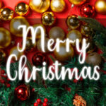 50+ Uplifting Christmas Quotes to Illuminate the Festive Season